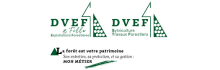 DVEF